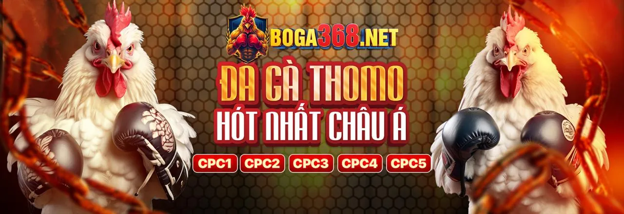 Giao diện đặt cược đá gà trực tuyến iwinclub code